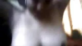 Tievs cāli gribēju spontānu seksu un seksa iepazīšanās uzlēca uz gailis