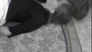 Nodot Sunīšu Stilā sieviete meklē vīrieti seksam Un fucked profura, Maksts