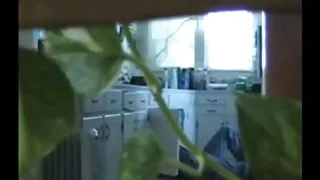 Balta āda geju fucks šokolādes acu meitenes sieviete mekle virieti sexsam