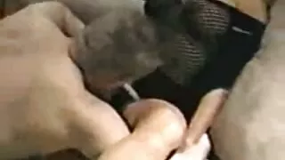 Pasīvā anālais cāli gluda maksts sievietes mekle virieti sexam caurumu